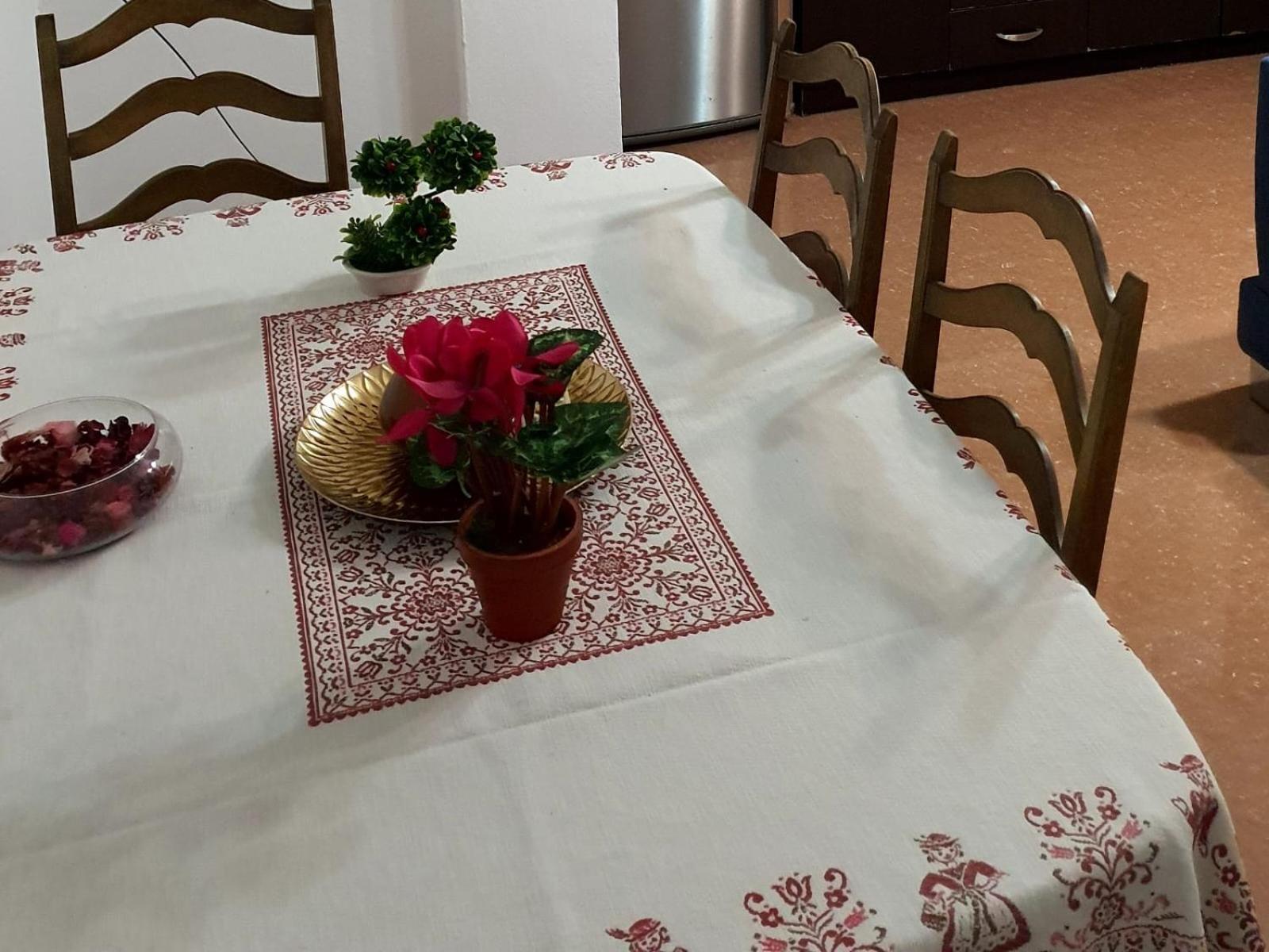 City Center Apartment Shkodër Екстериор снимка